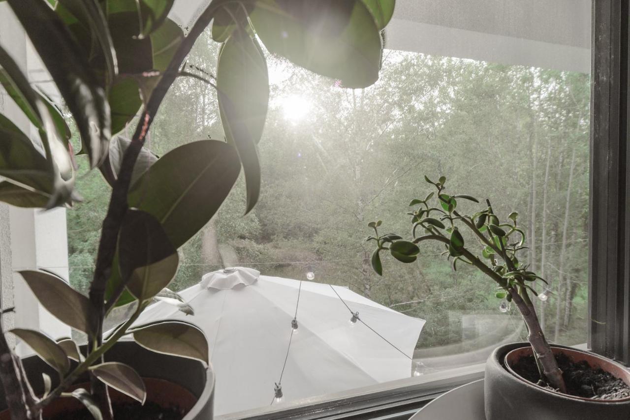 Apartment Lumina With Balcony Overlooking The Park Lodz (Lodz)